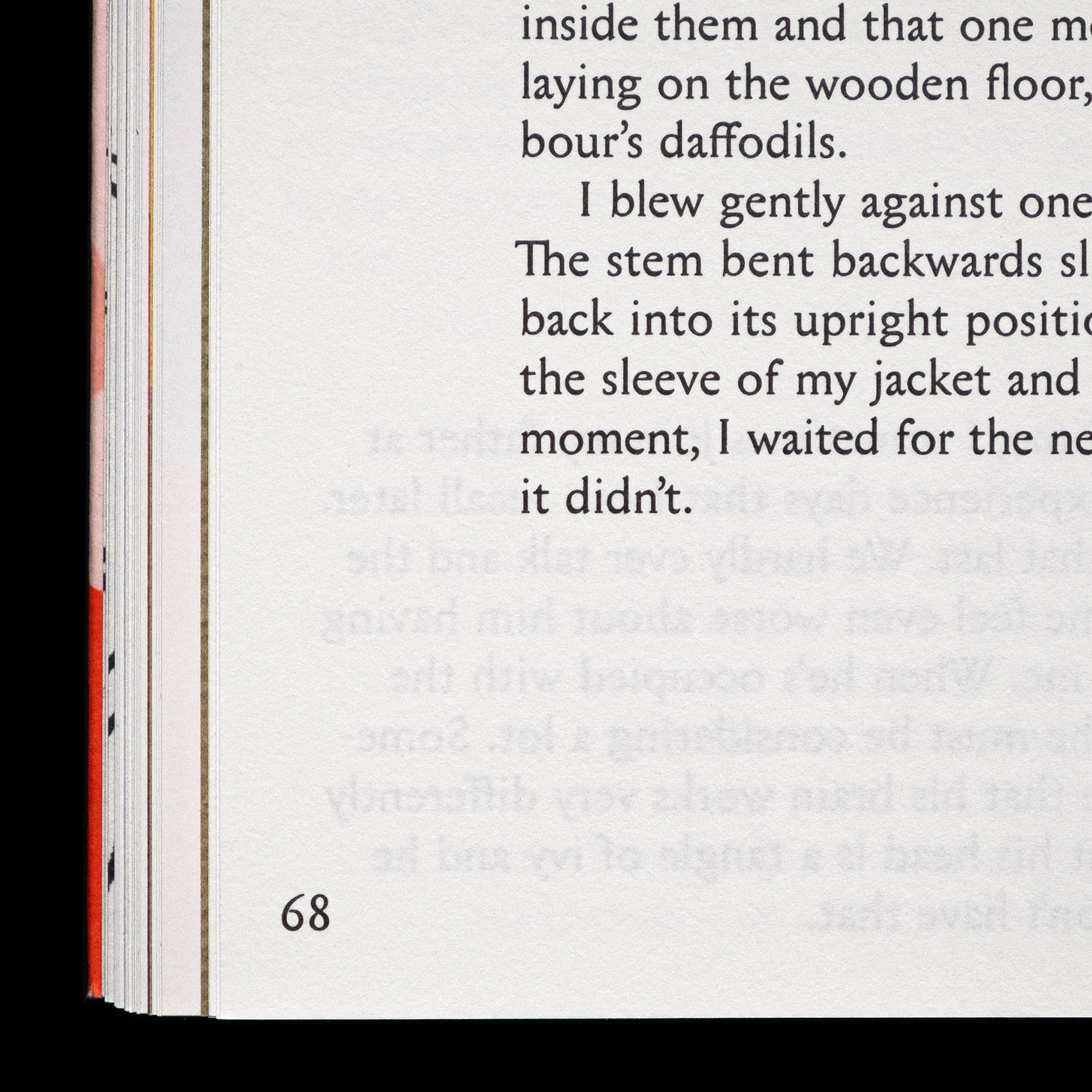 detail of a text page