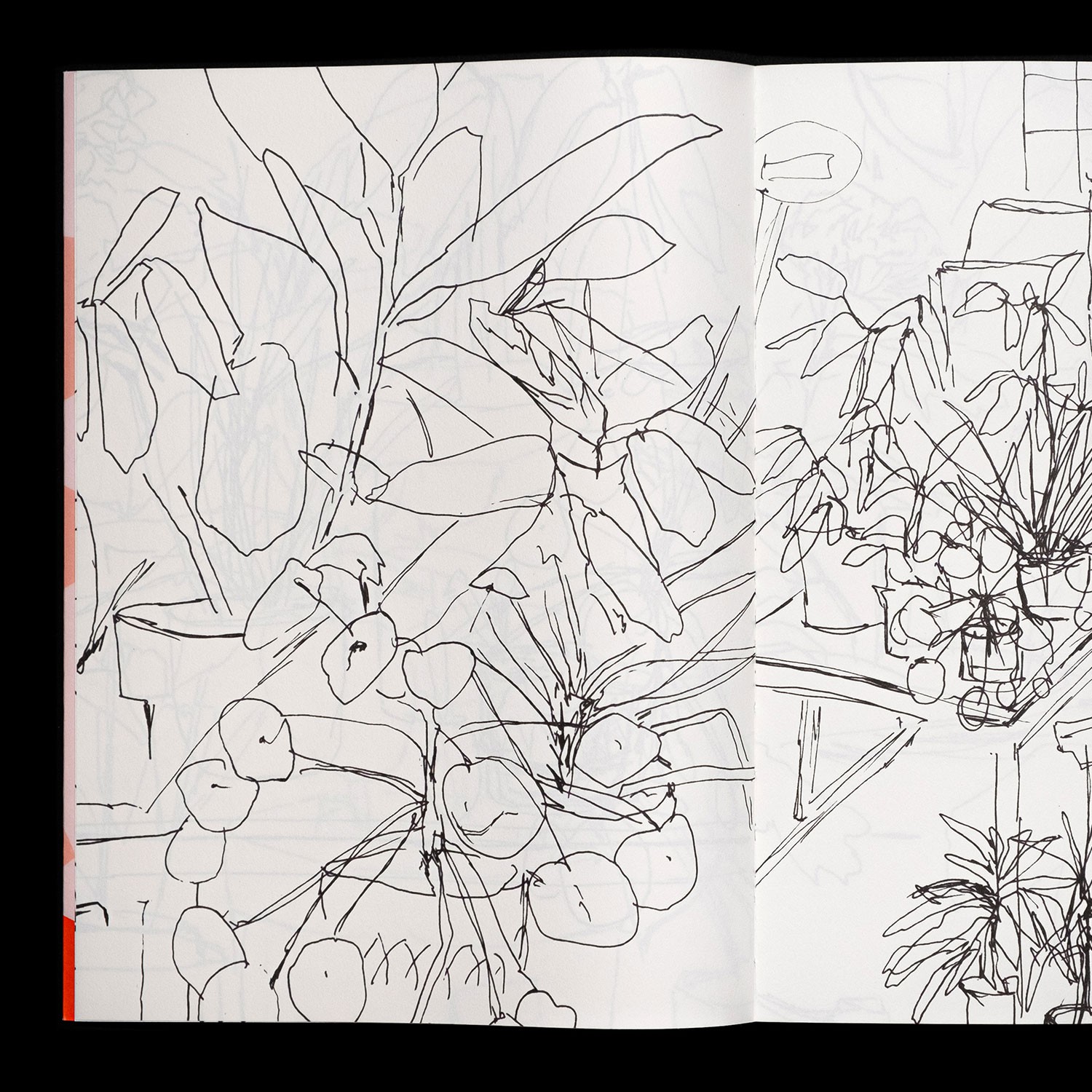 spread with sketches of plants