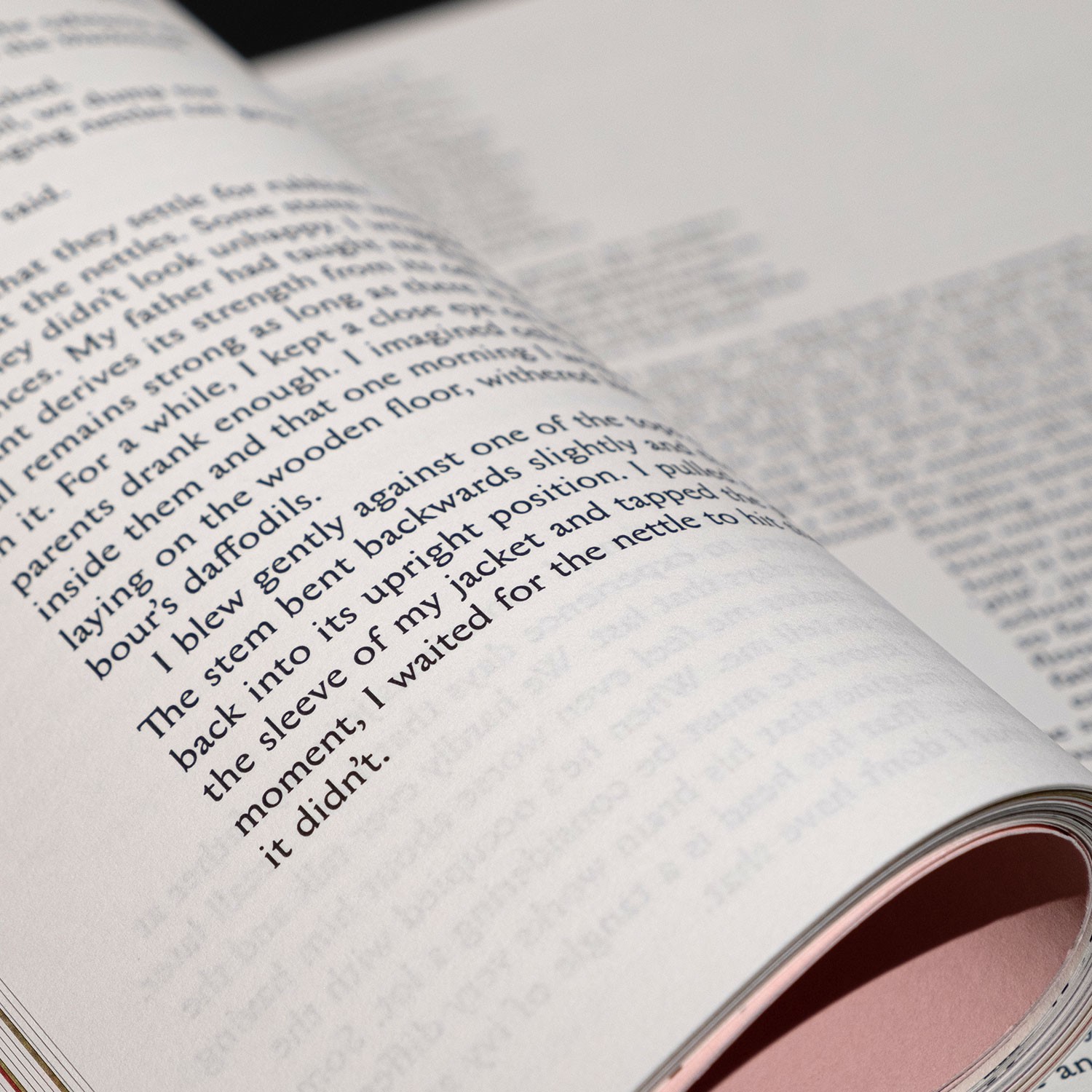 detail of a text page