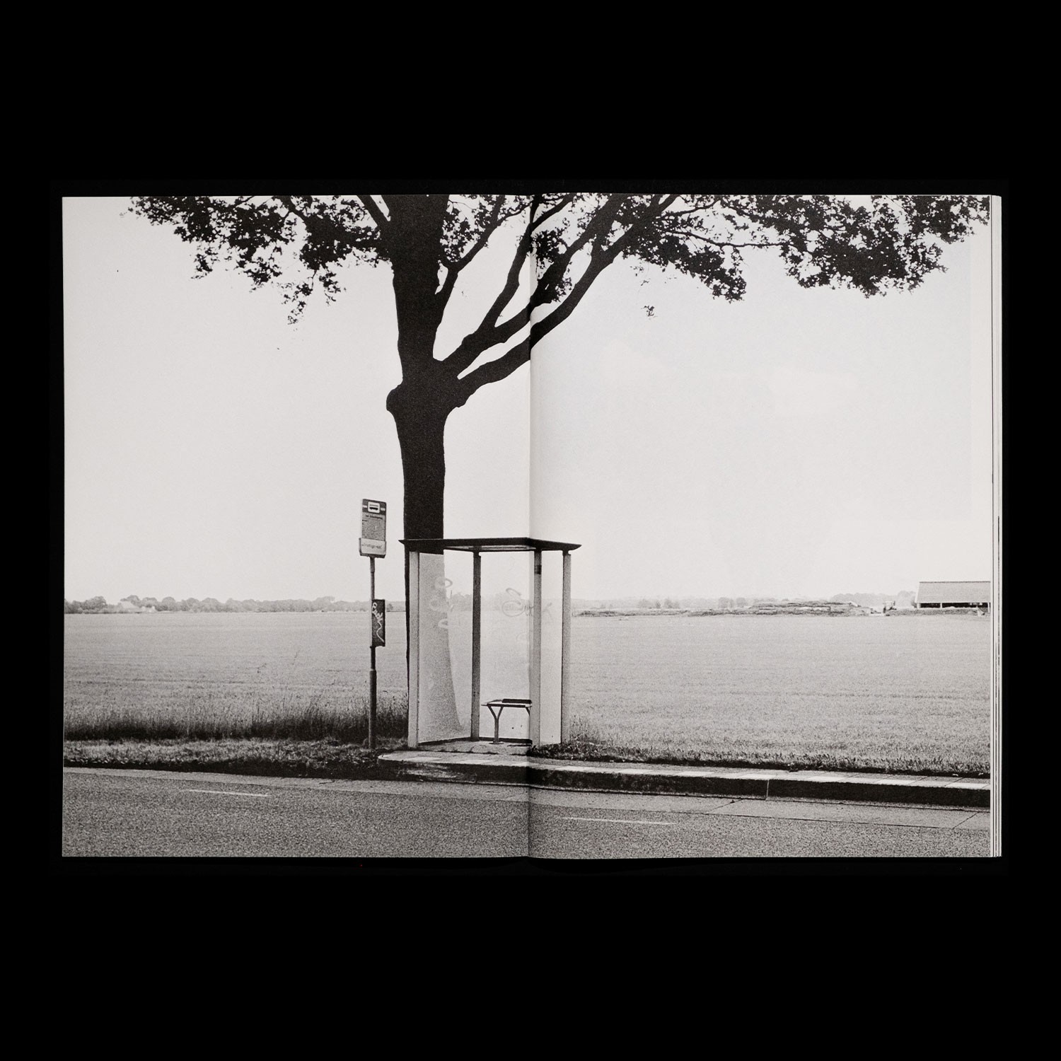 spread with photo of a busstop in front of a tree